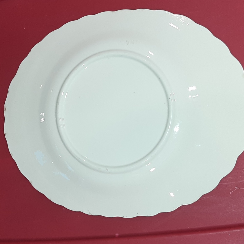 Blue Ridge vintage platter - Picture 7 of 10